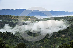 Forested Mountain Valley in the Cloud and Fog During Summer Scenic Natural Landscape View