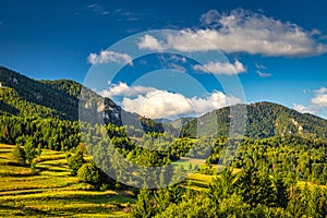 Forested mountainous landscape on a sunny morning