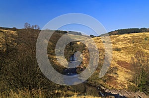 Forested Mountains of The Afon Llia Valley