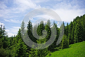 Forested mountains in a scenic landscape view Forested hill in a scenic landscape view