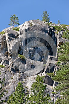 Forested mountainside scenic