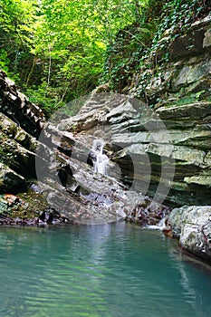 Forested rocks covered with ivy and moss with flowing little waterfall