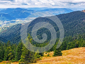 forested rolling hills of carpathian mountains