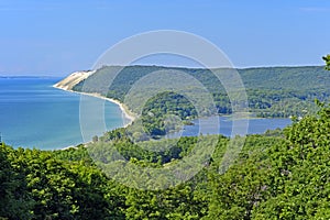 Forested Sand Dunes on a Sunny Day