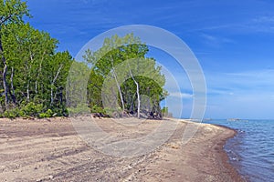 Forested Sandy Beach on the Great Lakes