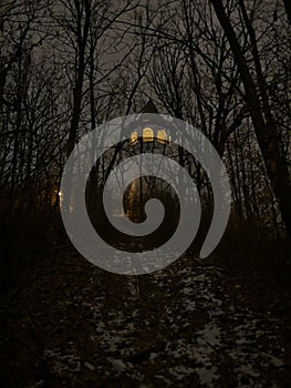 Forested trail at night with Prospect Park tower