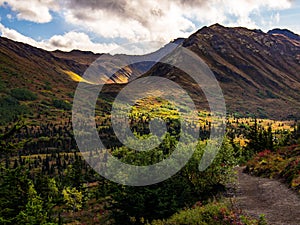 Forested Valley Overlook in Alaska