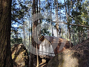 Forester Cabin in the forest. Small house