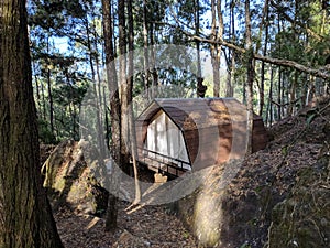 Forester Cabin in the forest. Small house