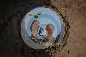 Forester holding tree seedling - planting