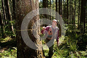 Forester in a Pacific Northwest