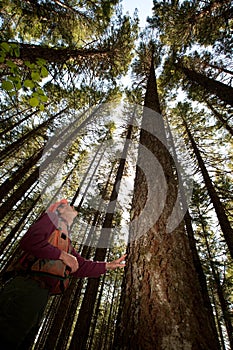 Forester in a Pacific Northwest