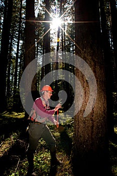 Forester in a Pacific Northwest
