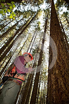 Forester in a Pacific Northwest