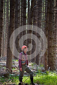 Forester in a Pacific Northwest