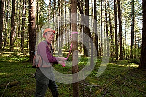 Forester in a Pacific Northwest