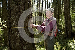 Forester in a Pacific Northwest