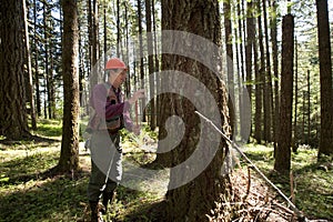 Forester in a Pacific Northwest