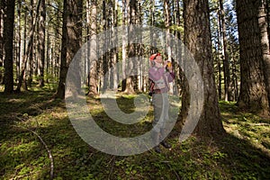 Forester in a Pacific Northwest