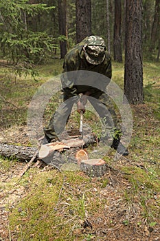 Forester works in the forest