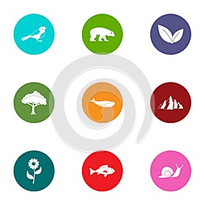 Forestland icons set, flat style photo