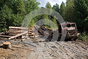 Forestry photo