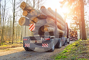 Forestry activity: transport of tree trunks photo