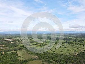 Forestry with declining volumes High angle shot From drones