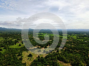 Forestry with declining volumes High angle shot From drones