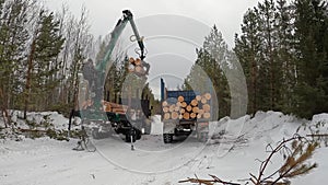 Forestry equipment. Forwarder loads timber into a timber truck. Beautiful winter forest landscape. Timber industry.