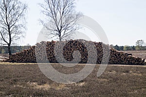 Forestry Fischbeker Heide