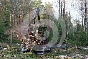 Forestry forwarder Stacks Up Wood