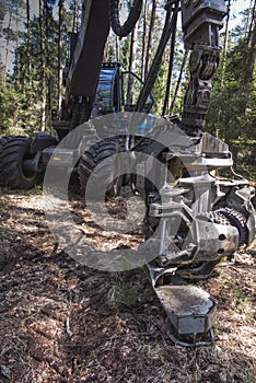 Forestry harvester during a stoppage among trees