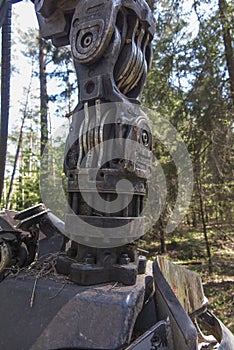 Forestry harvester during a stoppage among trees