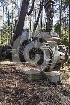 Forestry harvester during a stoppage among trees