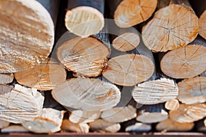 Forestry industry tree felling