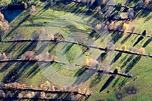 Forestry landscape aerial view