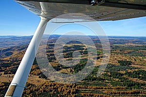 Forestry landscape aerial view