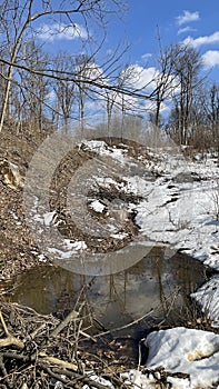 Forestry - Logging exploitation - Forest road - Water pollution snow melt