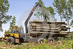 Forestry Logging Vehicle on Duty