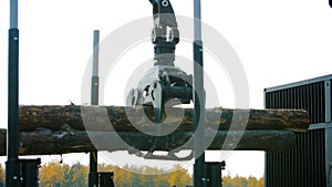 A forestry machine loads a log truck at the site landing. Forest machine down logs