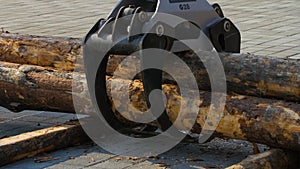 A forestry machine loads a log truck at the site landing. Forest machine down logs