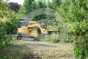 Forestry Mulcher Grinding Up Underbrush