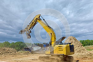 Forestry mulcher in loading roots trees to of industrial shredder machine chopped a wooding