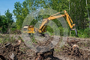 Forestry. Removing stumps with an excavator.