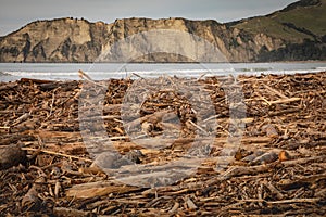 Forestry slash washed up on beach at Tolaga Bay, New Zealand after a flood