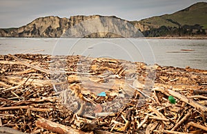 Forestry slash washed up on beach at Tolaga Bay, New Zealand after a flood