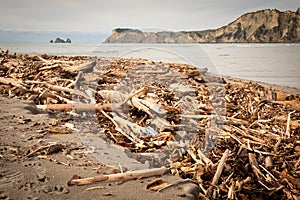 Forestry slash washed up on beach at Tolaga Bay, New Zealand after a flood