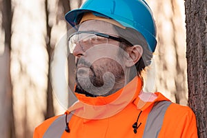 Forestry technician in forest, portrait of tree nursery professional