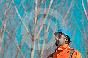 Forestry technician looking up at treetops